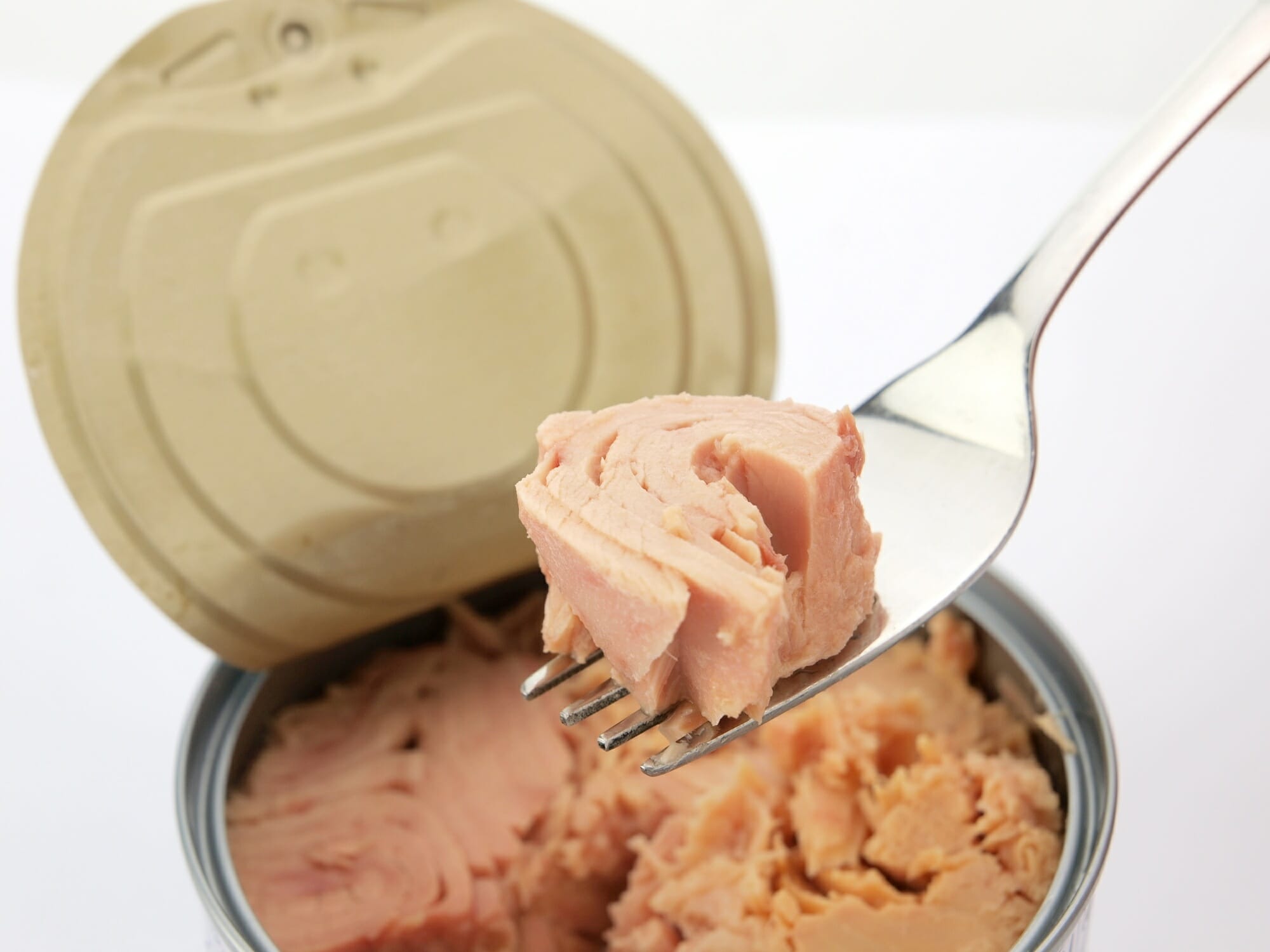 Can Dogs Eat Canned Salmon?