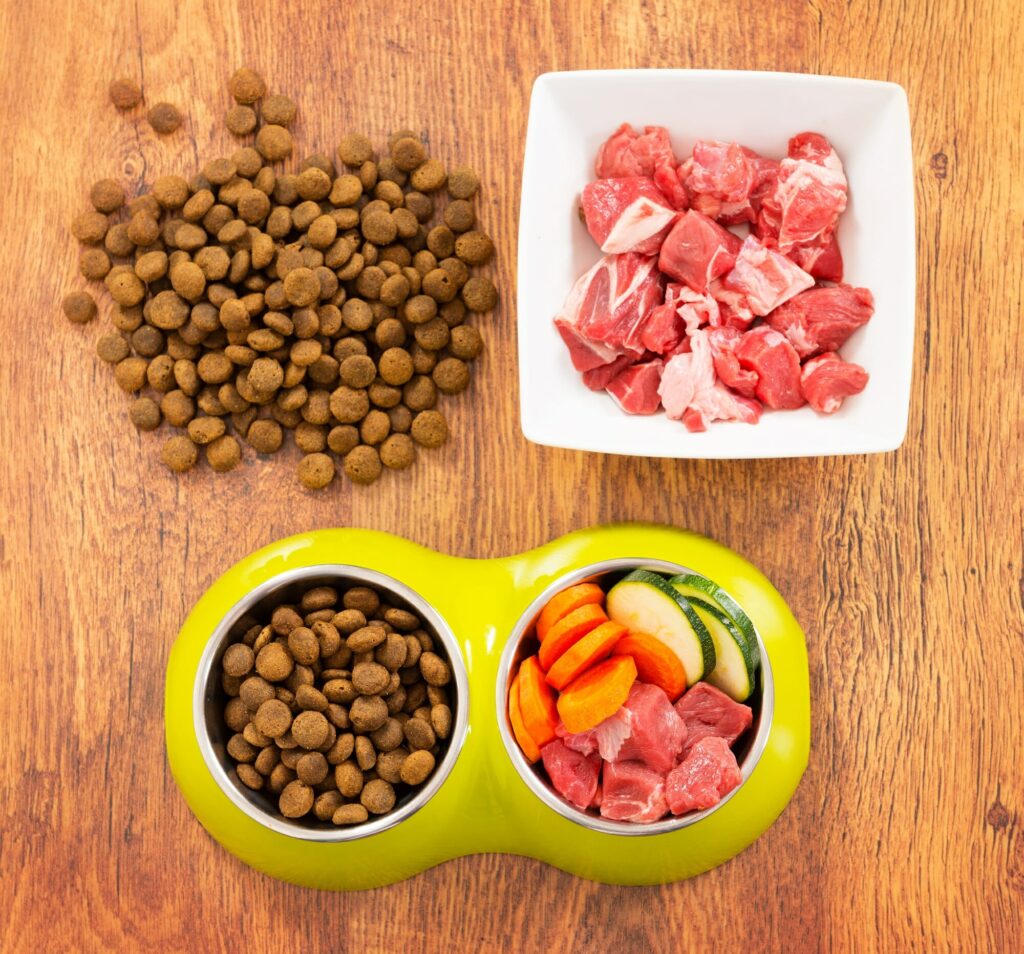 Homemade Dog Food vs Store Bought Which Is Better? Root Pet