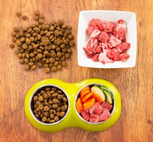 Homemade Dog Food Versus Store Bought: Which Is Better?